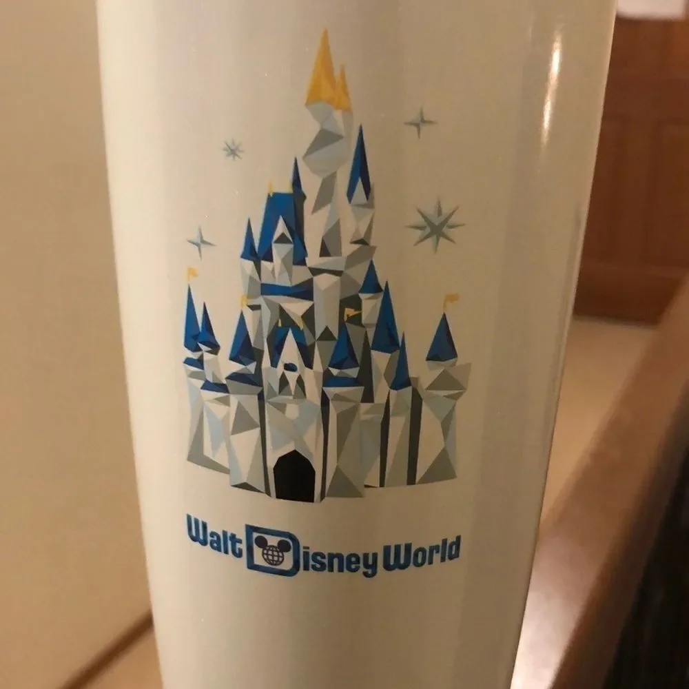 Disney world 2021 Starbucks tumbler